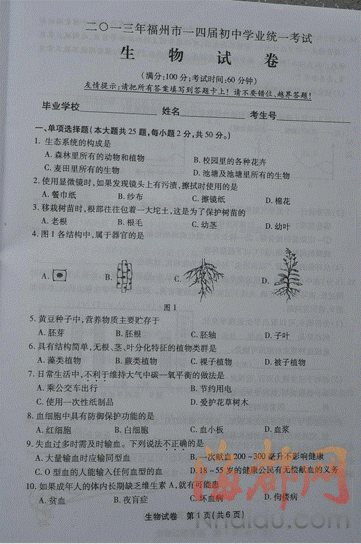2013긣п⼰